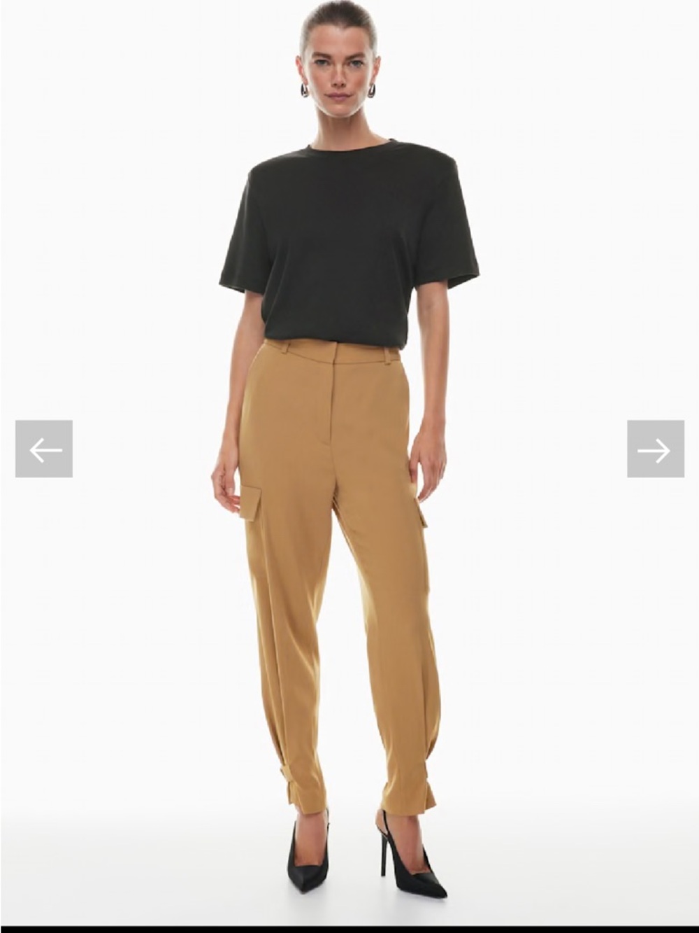Aritzia Babaton Refined Cargo Pant